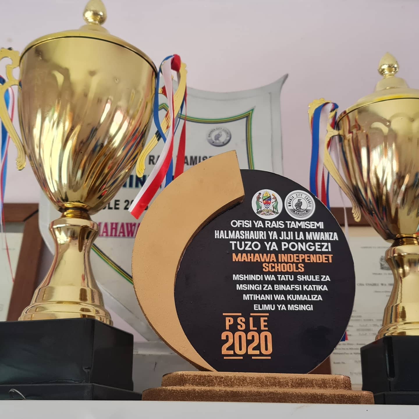 Mahawa School award ceremony in Mwanza